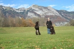 En fin bild från Liechtenstein, man kan undra vad Speja har fått syn på, kan det vara husse eller